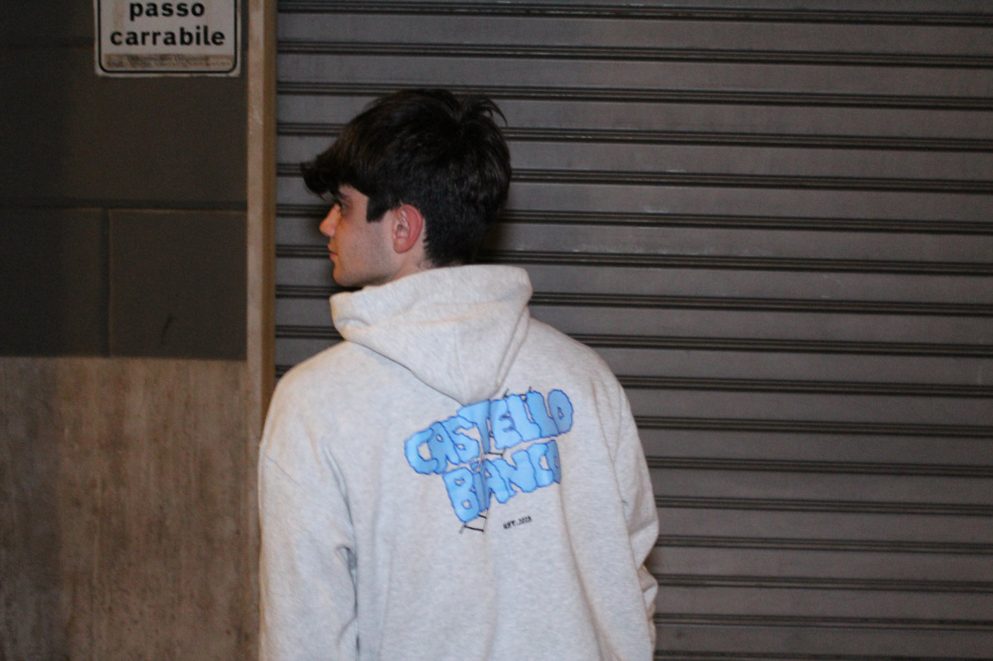 Sky Velvet hoodie