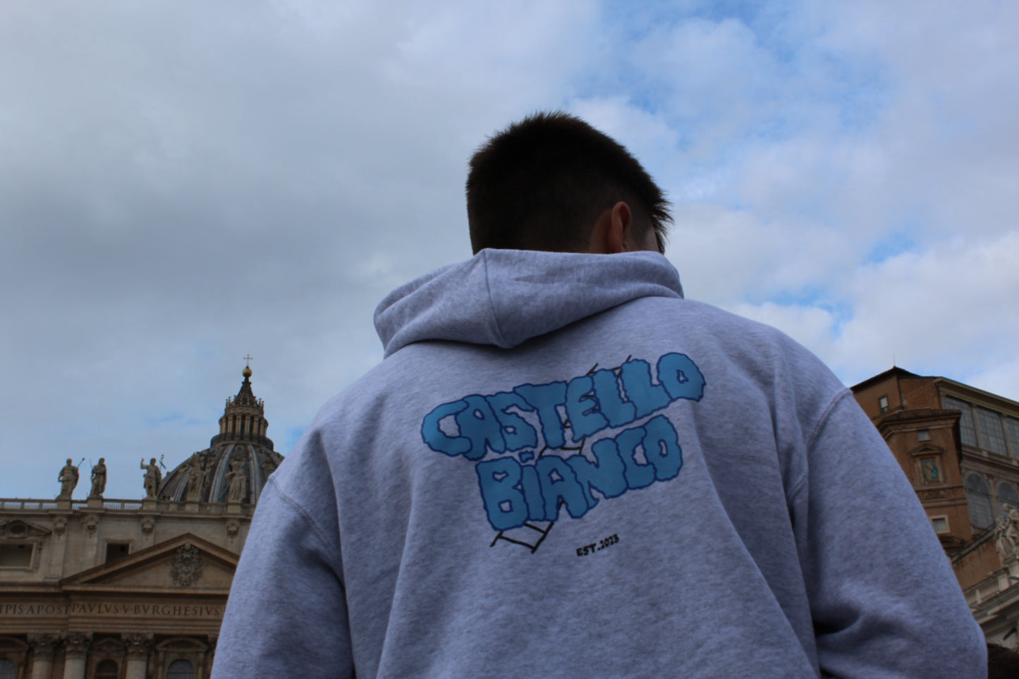 Sky Velvet hoodie